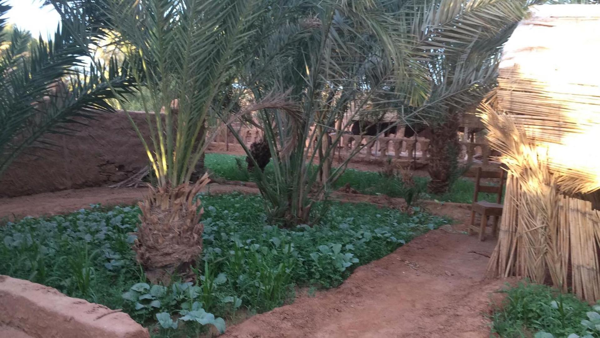 Auberge La Palmeraie M'Hamid Exteriör bild